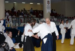 İSTANBUL 8.DAN YOSHIMITSU YAMADA SHIHAN SEMİNERİ 19-20/09/2015