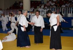 İSTANBUL 8.DAN YOSHIMITSU YAMADA SHIHAN SEMİNERİ 19-20/09/2015