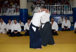 İSTANBUL 8.DAN YOSHIMITSU YAMADA SHIHAN SEMİNERİ 19-20/09/2015