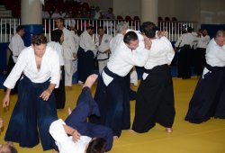 İSTANBUL 8.DAN YOSHIMITSU YAMADA SHIHAN SEMİNERİ 19-20/09/2015