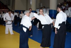 İSTANBUL 8.DAN YOSHIMITSU YAMADA SHIHAN SEMİNERİ 19-20/09/2015