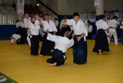 İSTANBUL 8.DAN YOSHIMITSU YAMADA SHIHAN SEMİNERİ 19-20/09/2015