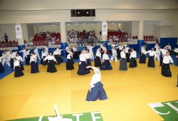 İSTANBUL 8.DAN YOSHIMITSU YAMADA SHIHAN SEMİNERİ 19-20/09/2015