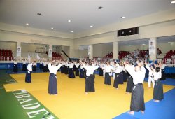 İSTANBUL 8.DAN YOSHIMITSU YAMADA SHIHAN SEMİNERİ 19-20/09/2015