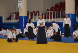 İSTANBUL 8.DAN YOSHIMITSU YAMADA SHIHAN SEMİNERİ 19-20/09/2015 - 2 