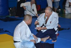 İSTANBUL 8.DAN YOSHIMITSU YAMADA SHIHAN SEMİNERİ 19-20/09/2015 - 2 