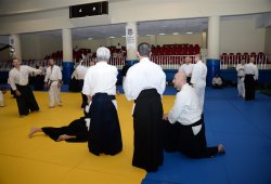 İSTANBUL 8.DAN YOSHIMITSU YAMADA SHIHAN SEMİNERİ 19-20/09/2015 - 2 