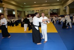 İSTANBUL 8.DAN YOSHIMITSU YAMADA SHIHAN SEMİNERİ 19-20/09/2015 - 2 