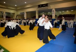 İSTANBUL 8.DAN YOSHIMITSU YAMADA SHIHAN SEMİNERİ 19-20/09/2015 - 2 