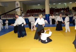 İSTANBUL 8.DAN YOSHIMITSU YAMADA SHIHAN SEMİNERİ 19-20/09/2015 - 2 