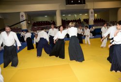 İSTANBUL 8.DAN YOSHIMITSU YAMADA SHIHAN SEMİNERİ 19-20/09/2015 - 2 