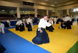 İSTANBUL 8.DAN YOSHIMITSU YAMADA SHIHAN SEMİNERİ 19-20/09/2015 - 2 