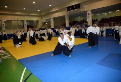 İSTANBUL 8.DAN YOSHIMITSU YAMADA SHIHAN SEMİNERİ 19-20/09/2015 - 2 