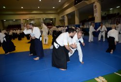 İSTANBUL 8.DAN YOSHIMITSU YAMADA SHIHAN SEMİNERİ 19-20/09/2015 - 2 