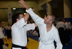 İSTANBUL 8.DAN YOSHIMITSU YAMADA SHIHAN SEMİNERİ 19-20/09/2015 - 2 