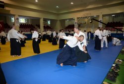 İSTANBUL 8.DAN YOSHIMITSU YAMADA SHIHAN SEMİNERİ 19-20/09/2015 - 2 