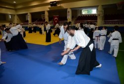 İSTANBUL 8.DAN YOSHIMITSU YAMADA SHIHAN SEMİNERİ 19-20/09/2015 - 2 