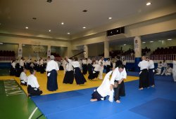 İSTANBUL 8.DAN YOSHIMITSU YAMADA SHIHAN SEMİNERİ 19-20/09/2015 - 2 