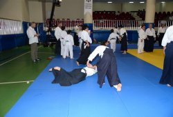 İSTANBUL 8.DAN YOSHIMITSU YAMADA SHIHAN SEMİNERİ 19-20/09/2015 - 2 