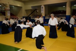 İSTANBUL 8.DAN YOSHIMITSU YAMADA SHIHAN SEMİNERİ 19-20/09/2015 - 2 