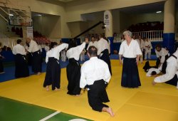 İSTANBUL 8.DAN YOSHIMITSU YAMADA SHIHAN SEMİNERİ 19-20/09/2015 - 2 