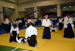 İSTANBUL 8.DAN YOSHIMITSU YAMADA SHIHAN SEMİNERİ 19-20/09/2015 - 2 