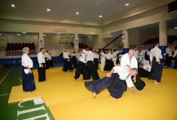 İSTANBUL 8.DAN YOSHIMITSU YAMADA SHIHAN SEMİNERİ 19-20/09/2015 - 2 