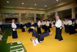 İSTANBUL 8.DAN YOSHIMITSU YAMADA SHIHAN SEMİNERİ 19-20/09/2015 - 2 