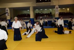 İSTANBUL 8.DAN YOSHIMITSU YAMADA SHIHAN SEMİNERİ 19-20/09/2015 - 2 