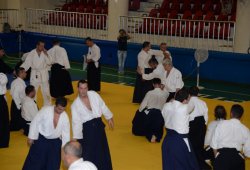 İSTANBUL 8.DAN YOSHIMITSU YAMADA SHIHAN SEMİNERİ 19-20/09/2015 - 2 