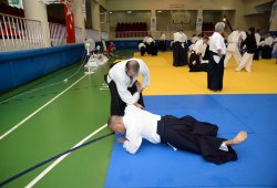 İSTANBUL 8.DAN YOSHIMITSU YAMADA SHIHAN SEMİNERİ 19-20/09/2015 - 2 