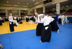 İSTANBUL 8.DAN YOSHIMITSU YAMADA SHIHAN SEMİNERİ 19-20/09/2015 - 2 