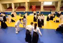 İSTANBUL 8.DAN YOSHIMITSU YAMADA SHIHAN SEMİNERİ 19-20/09/2015 - 2 