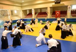 İSTANBUL 8.DAN YOSHIMITSU YAMADA SHIHAN SEMİNERİ 19-20/09/2015 - 2 