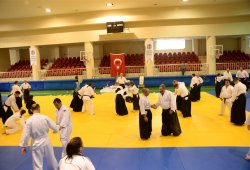 İSTANBUL 8.DAN YOSHIMITSU YAMADA SHIHAN SEMİNERİ 19-20/09/2015 - 2 