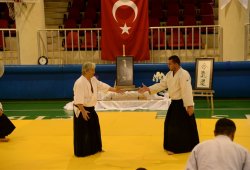 İSTANBUL 8.DAN YOSHIMITSU YAMADA SHIHAN SEMİNERİ 19-20/09/2015 - 2 