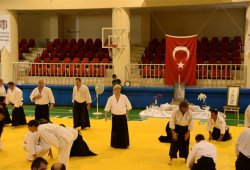 İSTANBUL 8.DAN YOSHIMITSU YAMADA SHIHAN SEMİNERİ 19-20/09/2015 - 2 