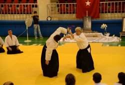 İSTANBUL 8.DAN YOSHIMITSU YAMADA SHIHAN SEMİNERİ 19-20/09/2015 - 2 