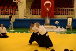 İSTANBUL 8.DAN YOSHIMITSU YAMADA SHIHAN SEMİNERİ 19-20/09/2015 - 2 