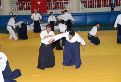 İSTANBUL 8.DAN YOSHIMITSU YAMADA SHIHAN SEMİNERİ 19-20/09/2015 - 2 