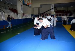 İSTANBUL 8.DAN YOSHIMITSU YAMADA SHIHAN SEMİNERİ 19-20/09/2015 - 2 