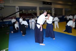 İSTANBUL 8.DAN YOSHIMITSU YAMADA SHIHAN SEMİNERİ 19-20/09/2015 - 2 