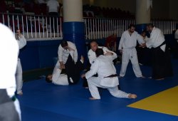 İSTANBUL 8.DAN YOSHIMITSU YAMADA SHIHAN SEMİNERİ 19-20/09/2015 - 2 