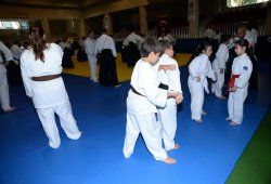 İSTANBUL 8.DAN YOSHIMITSU YAMADA SHIHAN SEMİNERİ 19-20/09/2015 - 2 