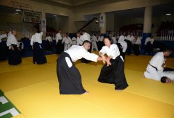 İSTANBUL 8.DAN YOSHIMITSU YAMADA SHIHAN SEMİNERİ 19-20/09/2015 - 2 