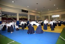 İSTANBUL 8.DAN YOSHIMITSU YAMADA SHIHAN SEMİNERİ 19-20/09/2015 - 2 