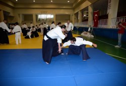 İSTANBUL 8.DAN YOSHIMITSU YAMADA SHIHAN SEMİNERİ 19-20/09/2015 - 2 