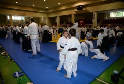 İSTANBUL 8.DAN YOSHIMITSU YAMADA SHIHAN SEMİNERİ 19-20/09/2015 - 2 