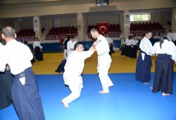 İSTANBUL 8.DAN YOSHIMITSU YAMADA SHIHAN SEMİNERİ 19-20/09/2015 - 2 