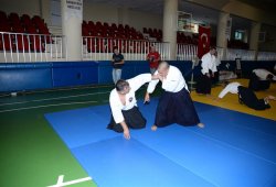 İSTANBUL 8.DAN YOSHIMITSU YAMADA SHIHAN SEMİNERİ 19-20/09/2015 - 2 